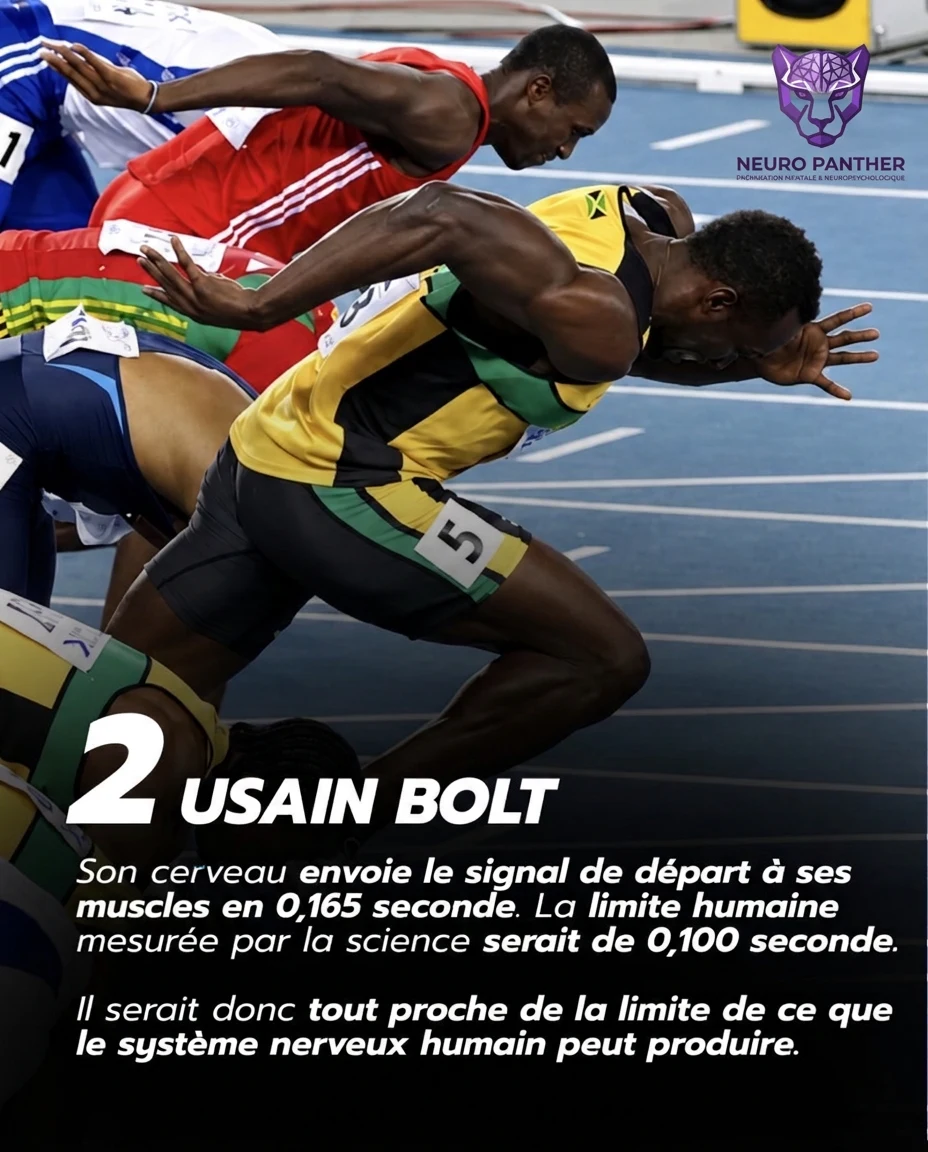 Usain Bolt et la vitesse de son signal nerveux